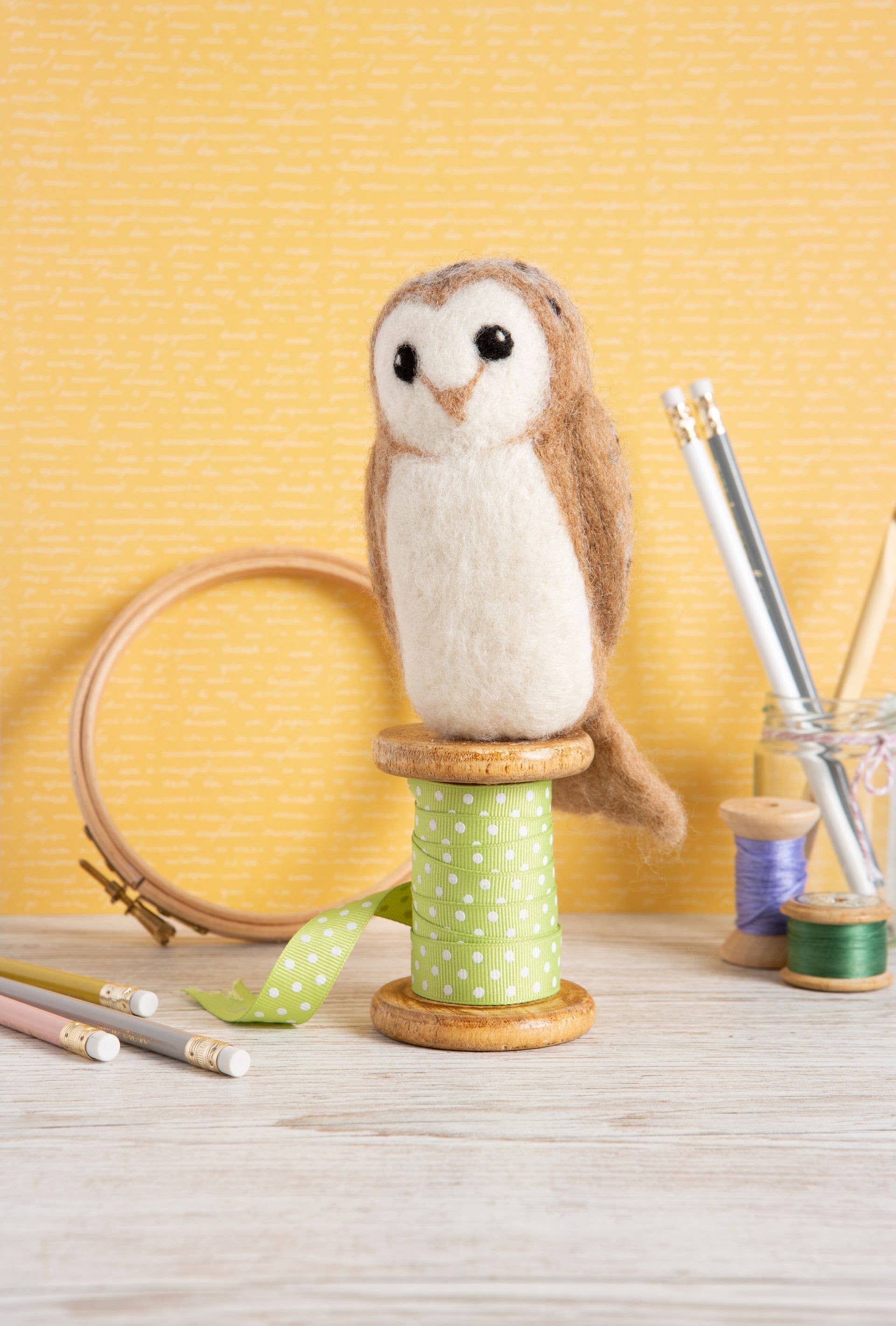 Barn Owl Needle Felting Kit - Image 3