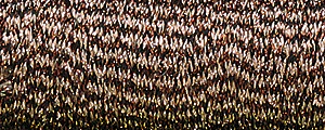 Kreinik # 8 Fine Braid [Balger] (Colors 095 - 9400) - Image 40