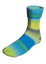 Lang Super Soxx Color 4-Ply - Image 13