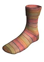 Lang Super Soxx Color 4-Ply - Image 9
