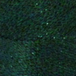 Lincatex Gold Rush - Image 8