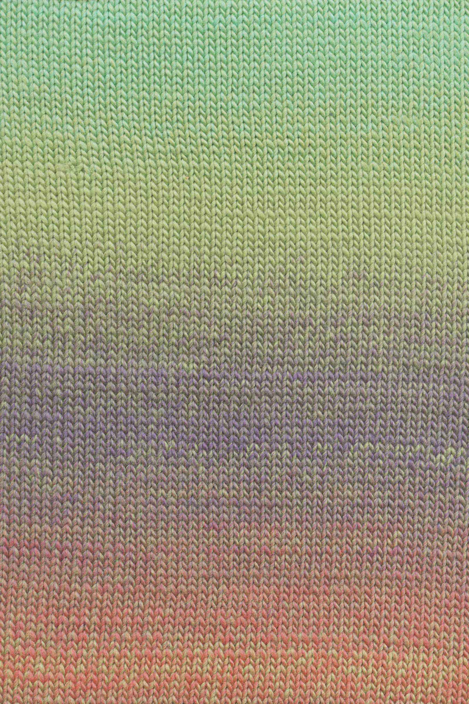 Lovis - Image 3