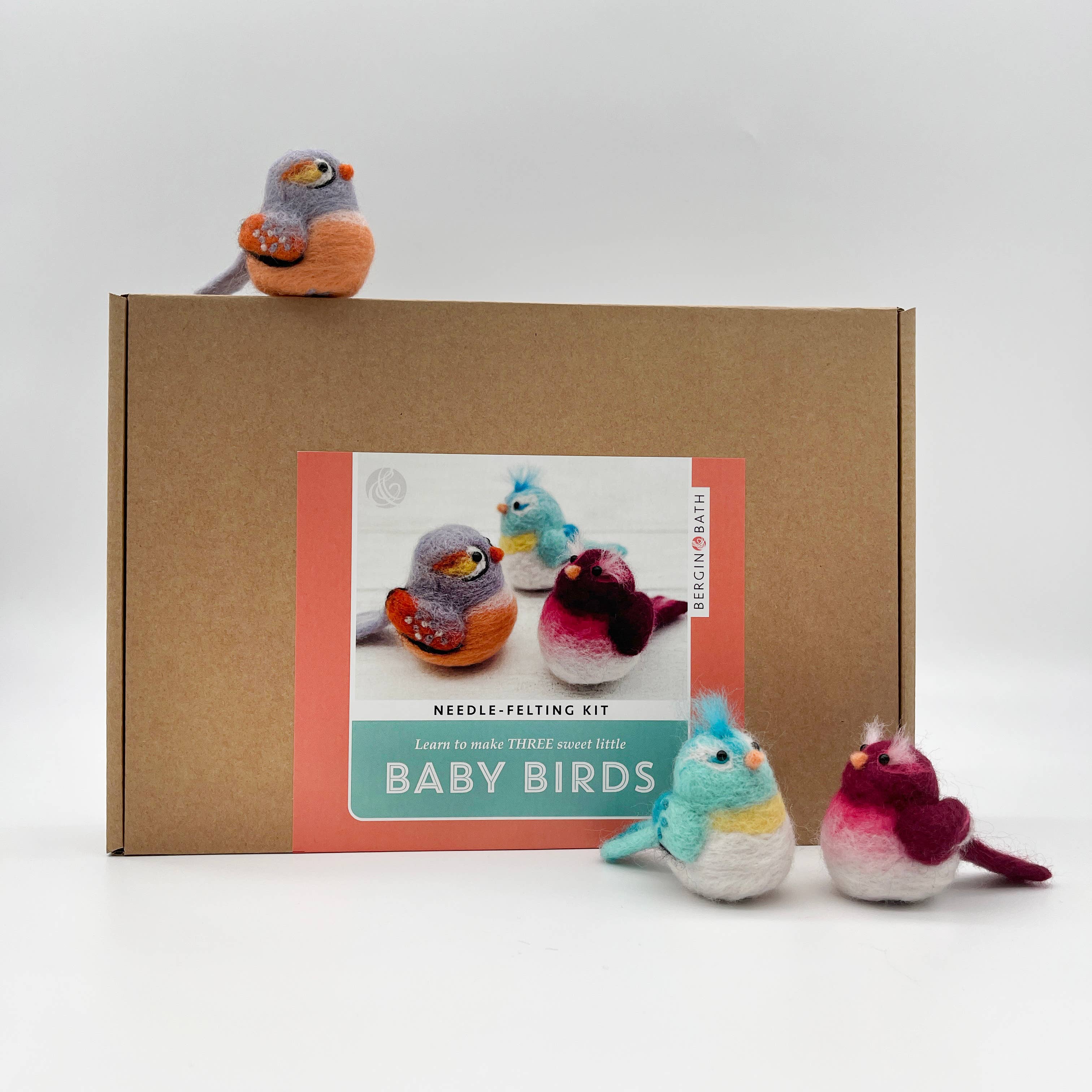Needle Felting Kit, Baby Birds - Image 10