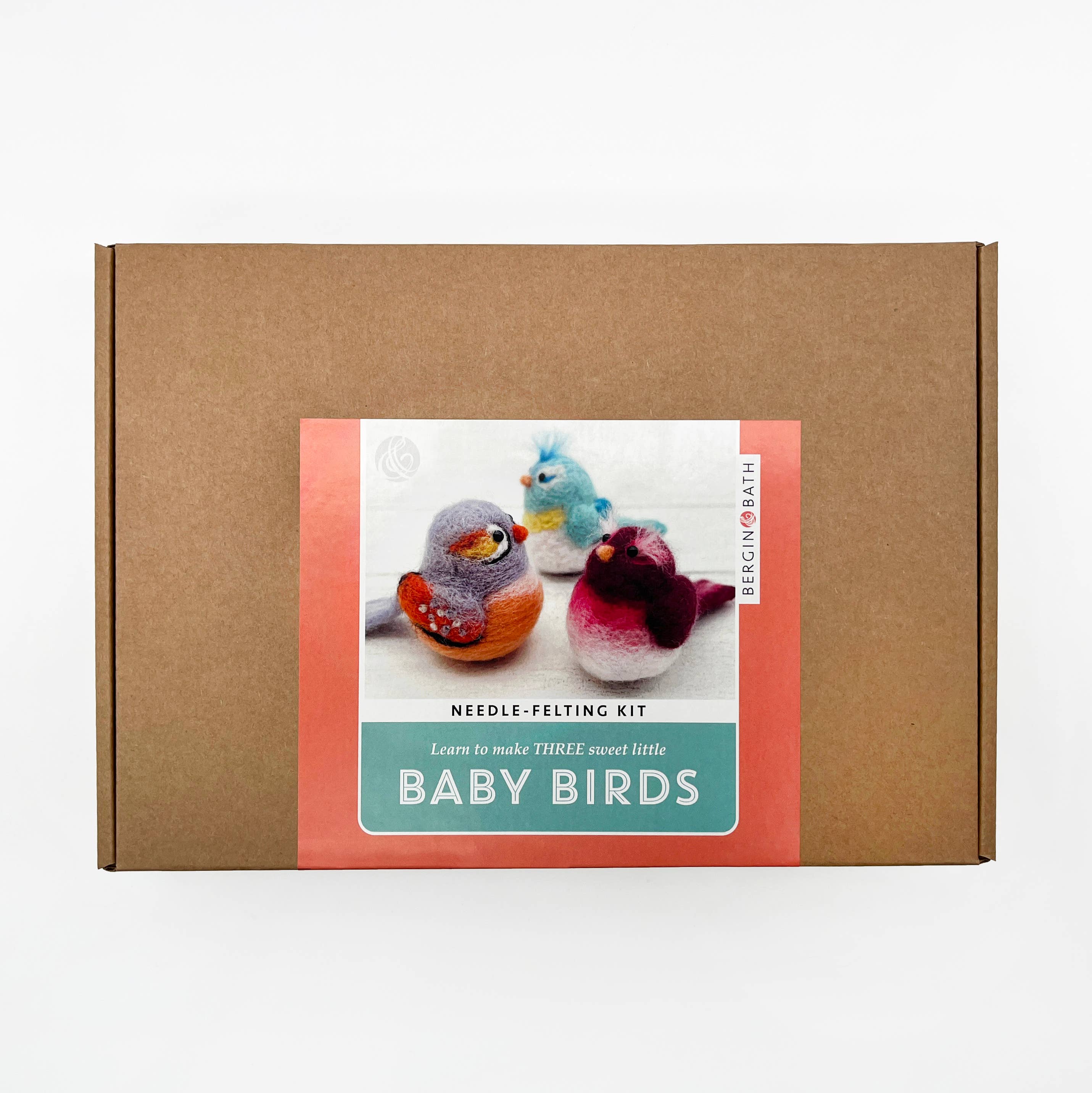 Needle Felting Kit, Baby Birds - Image 11