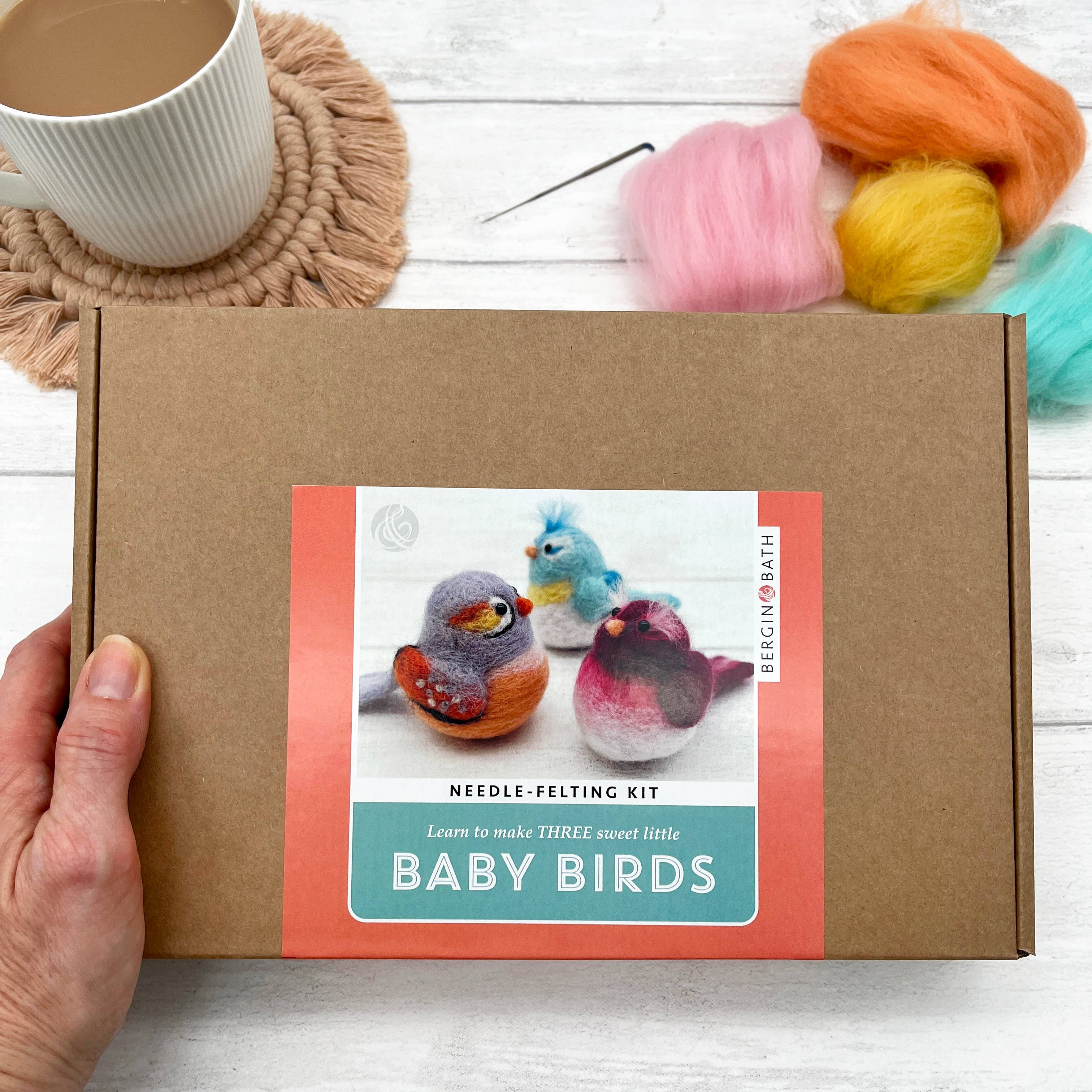 Needle Felting Kit, Baby Birds - Image 2