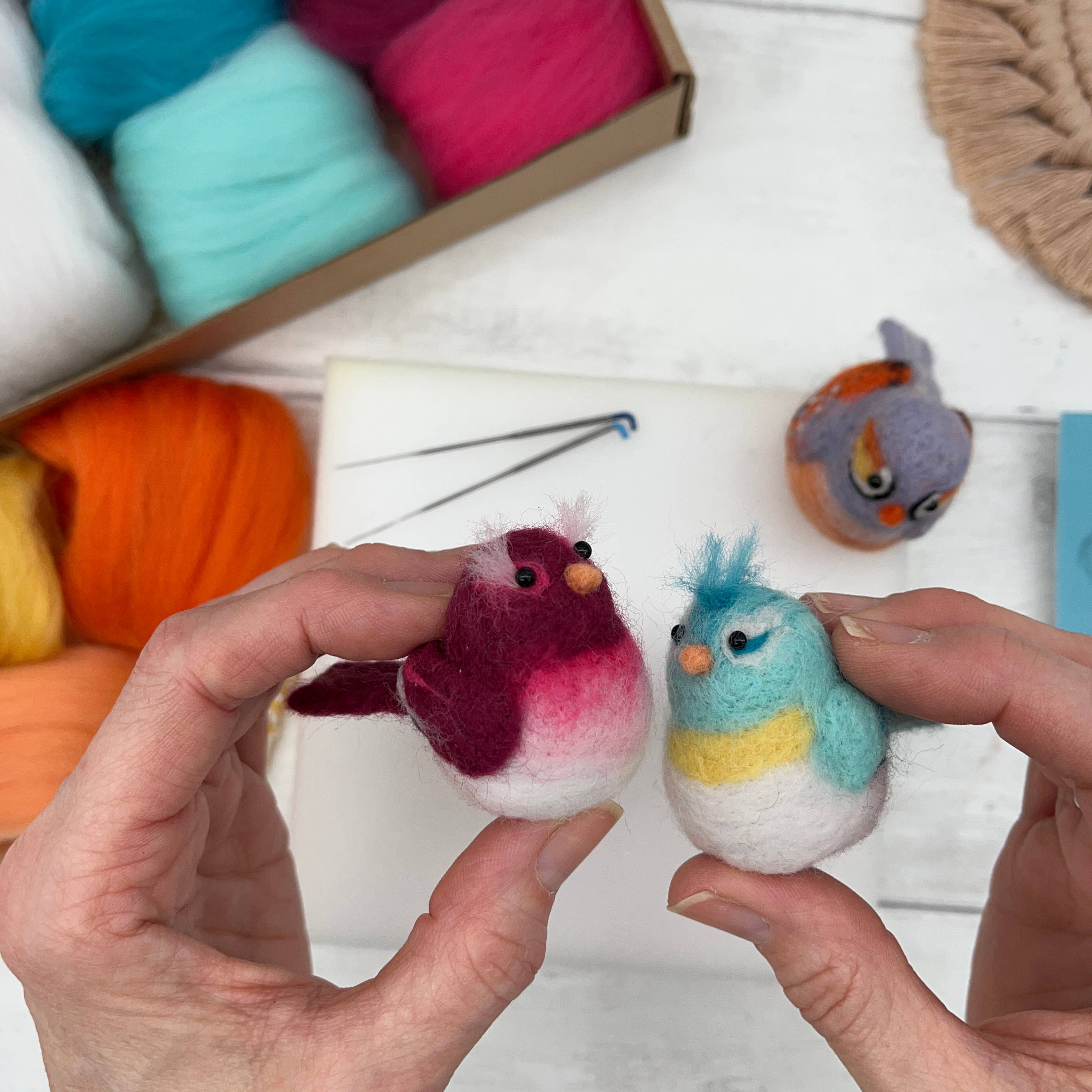 Needle Felting Kit, Baby Birds - Image 6
