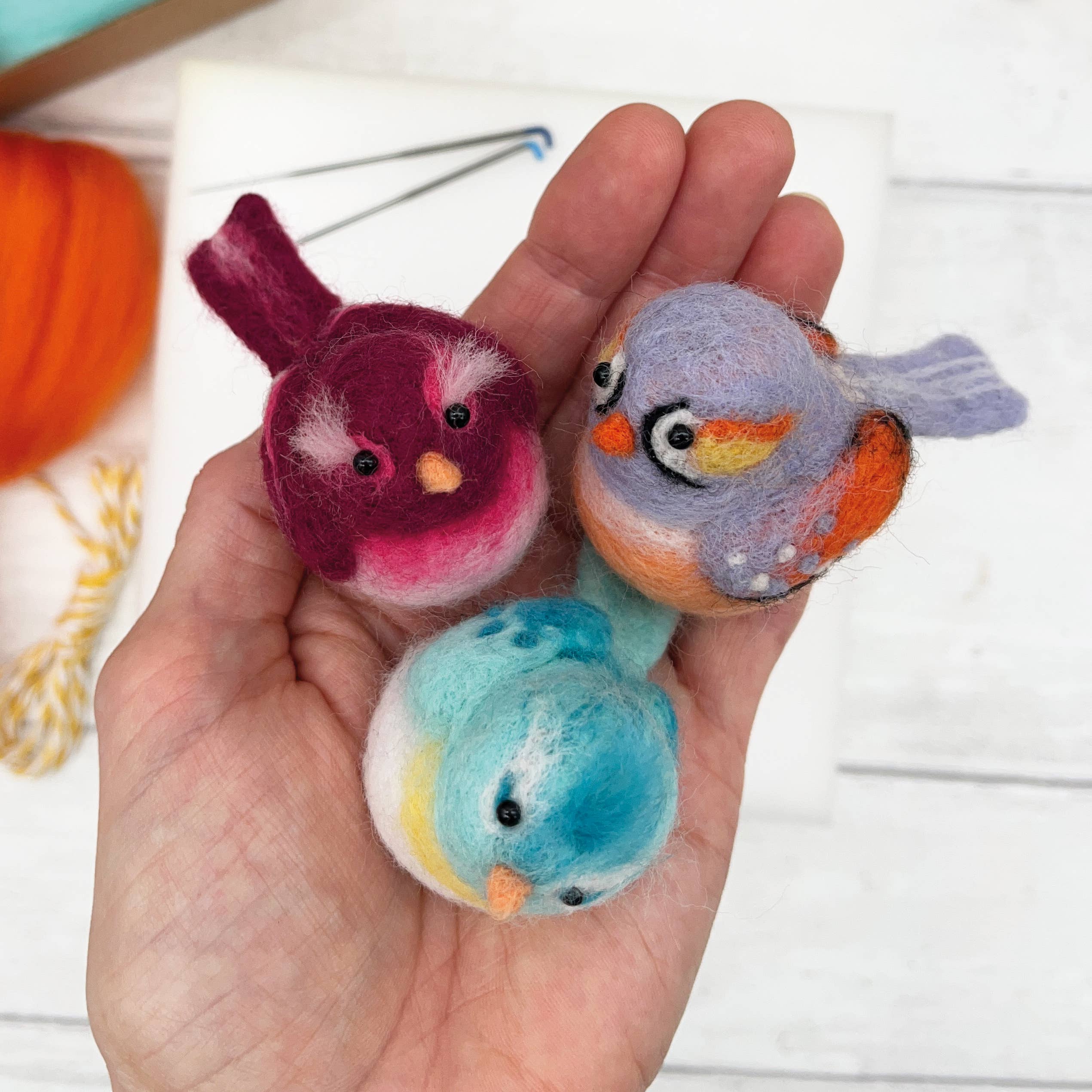 Needle Felting Kit, Baby Birds - Image 9
