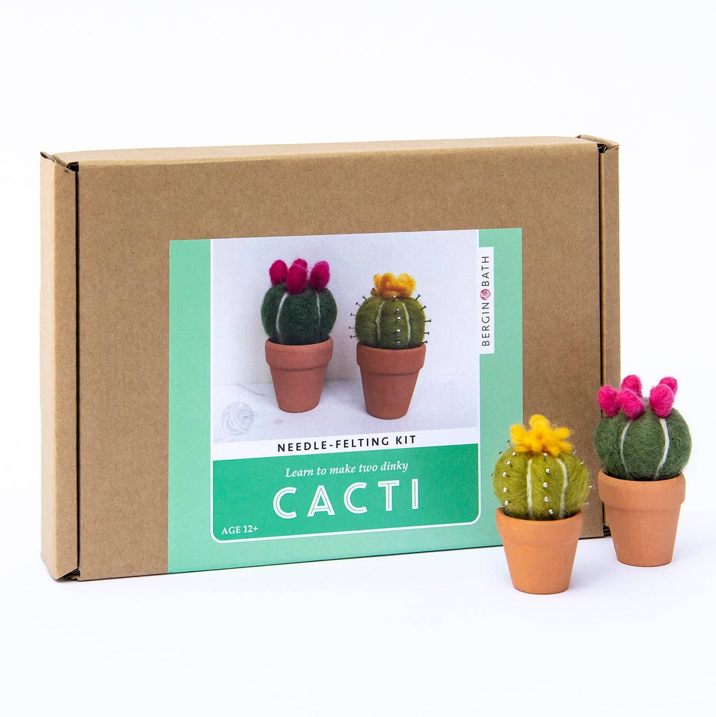 Needle felting kit - Cacti - wool craft project for beginner - Image 10