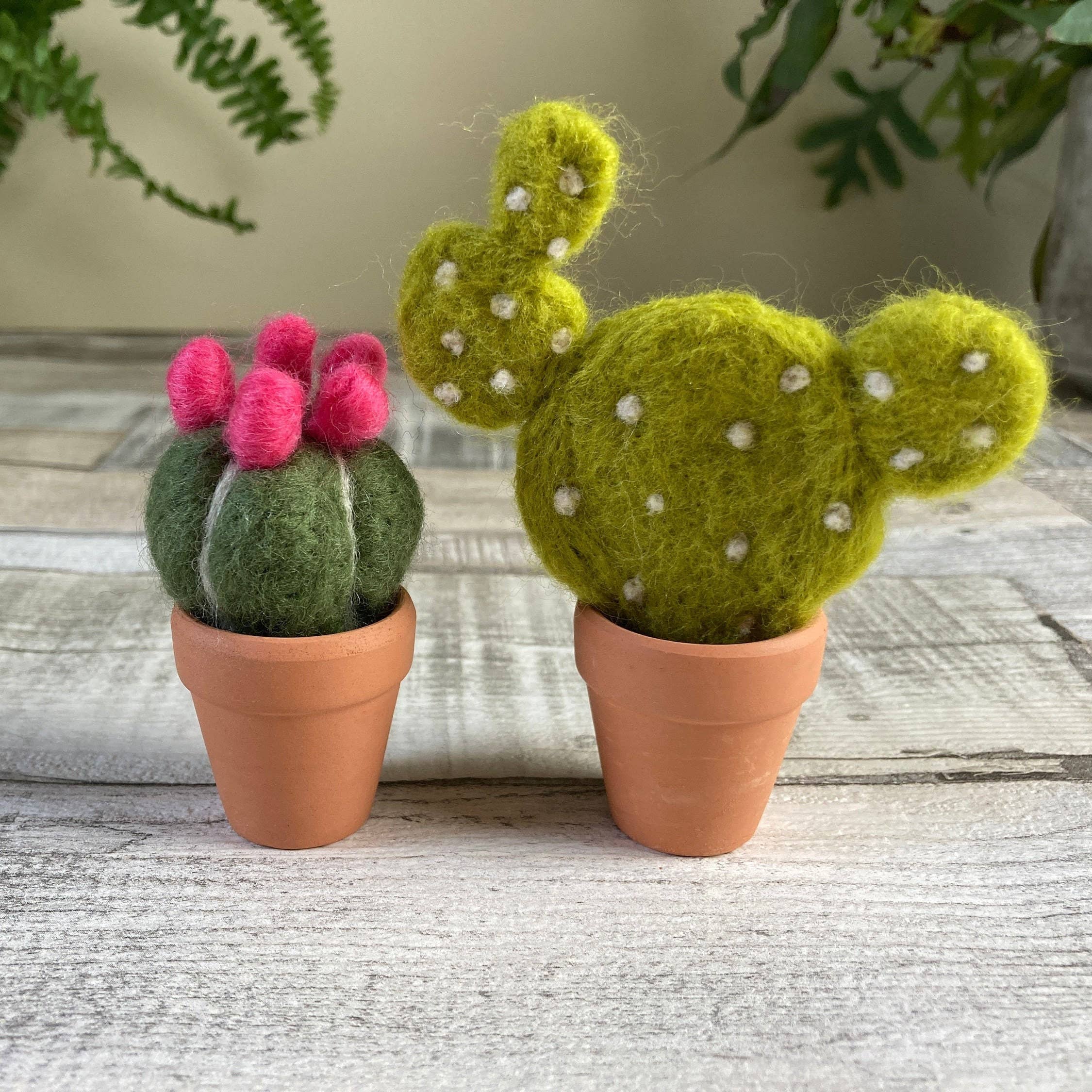 Needle felting kit - Cacti - wool craft project for beginner - Image 2