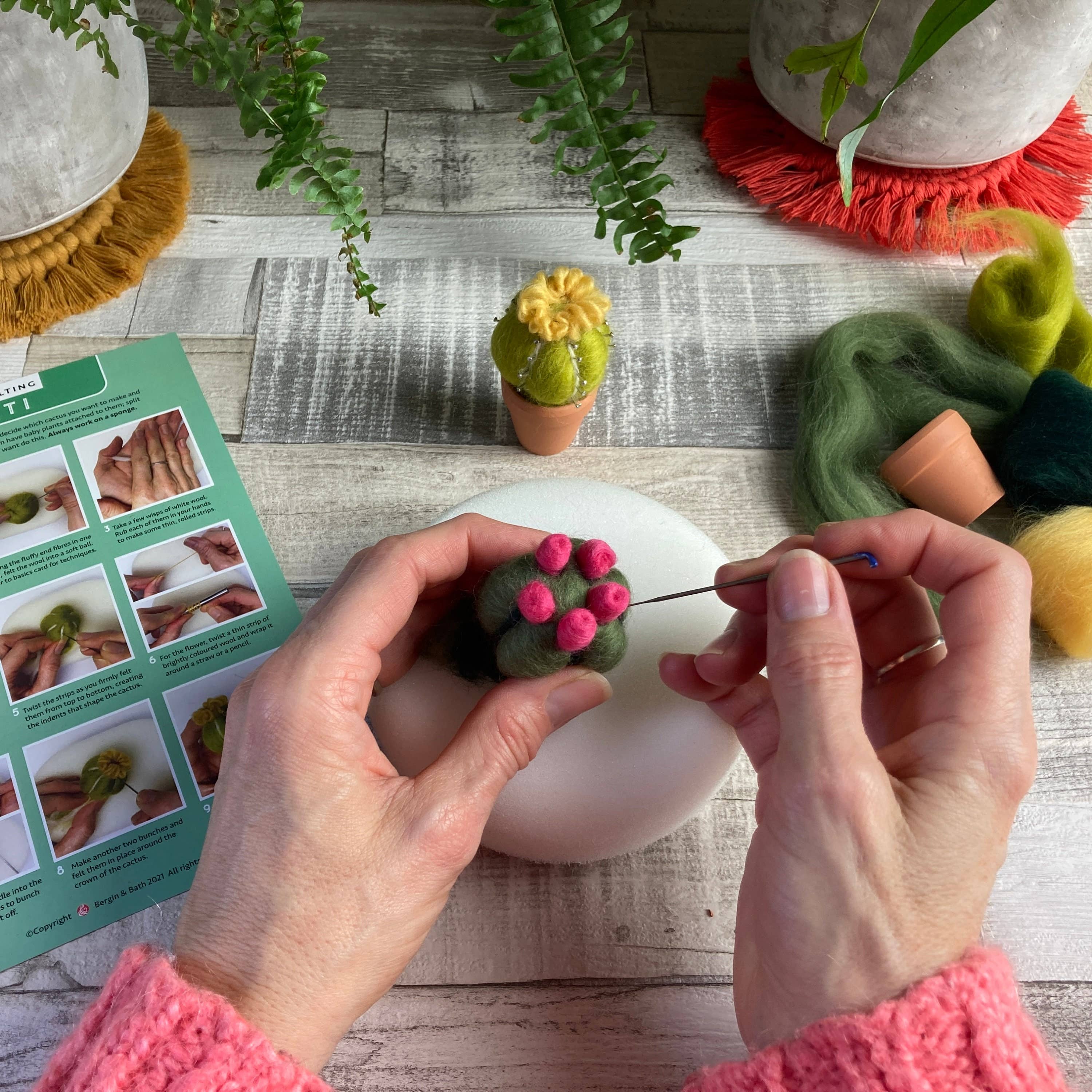 Needle felting kit - Cacti - wool craft project for beginner - Image 3