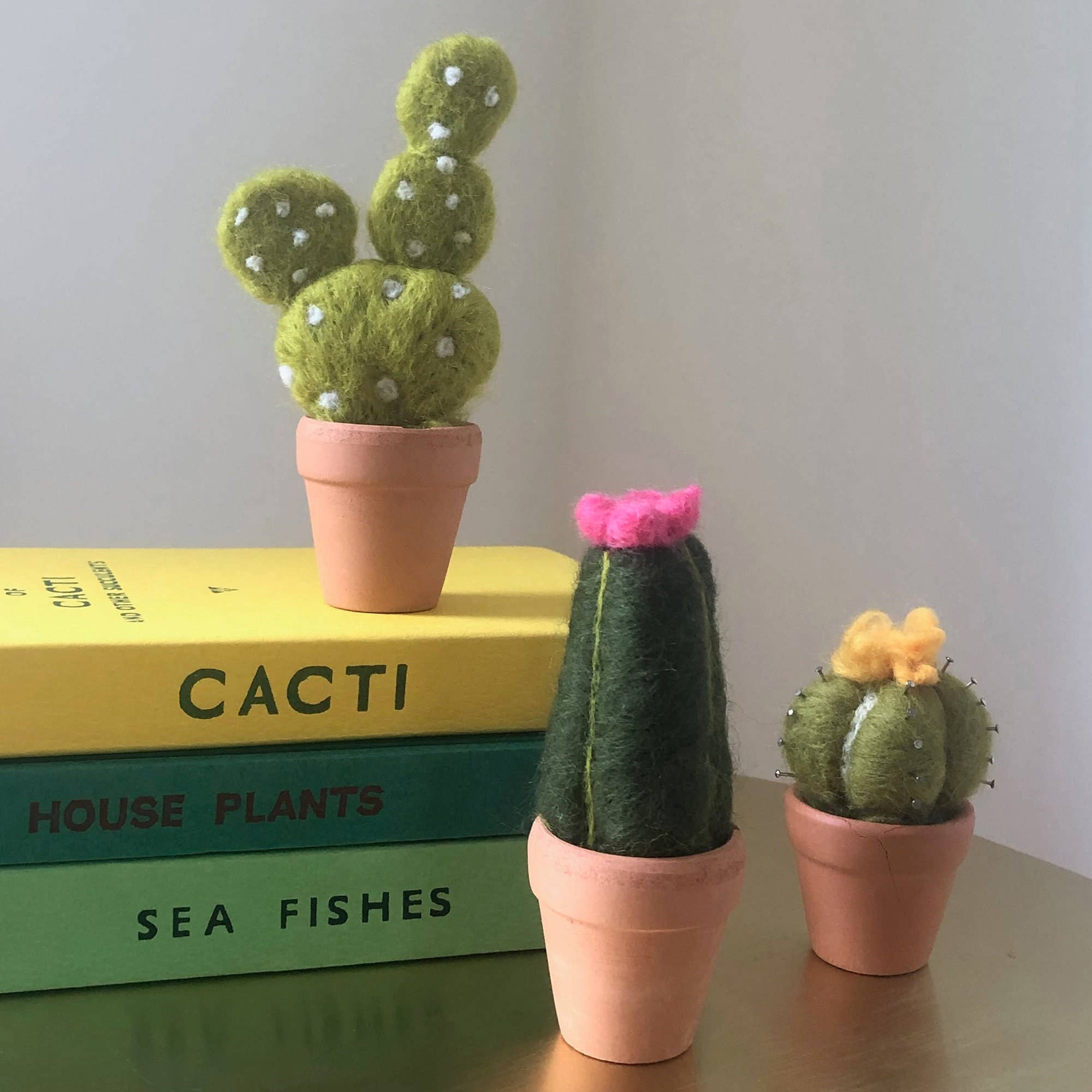 Needle felting kit - Cacti - wool craft project for beginner - Image 4