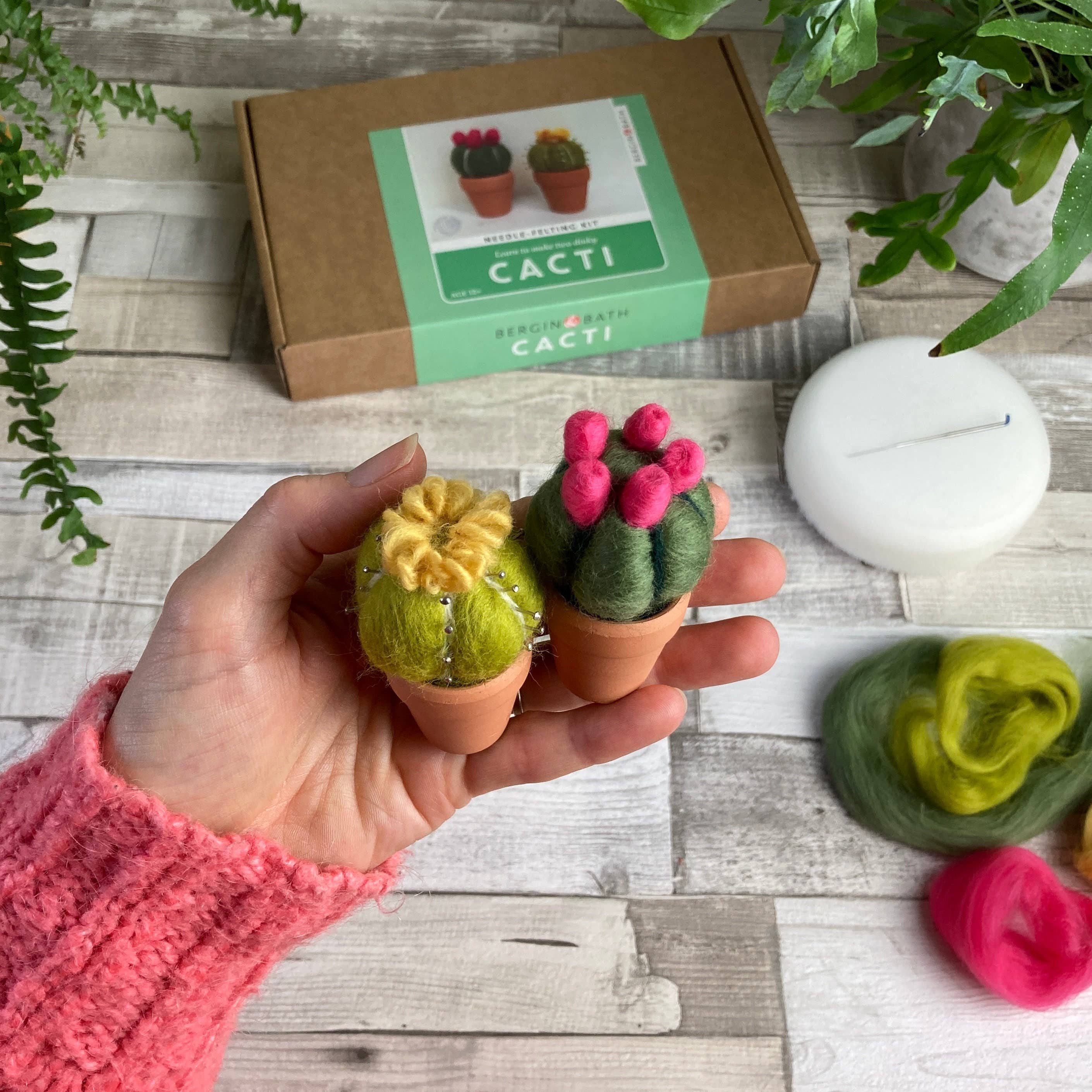 Needle felting kit - Cacti - wool craft project for beginner - Image 5