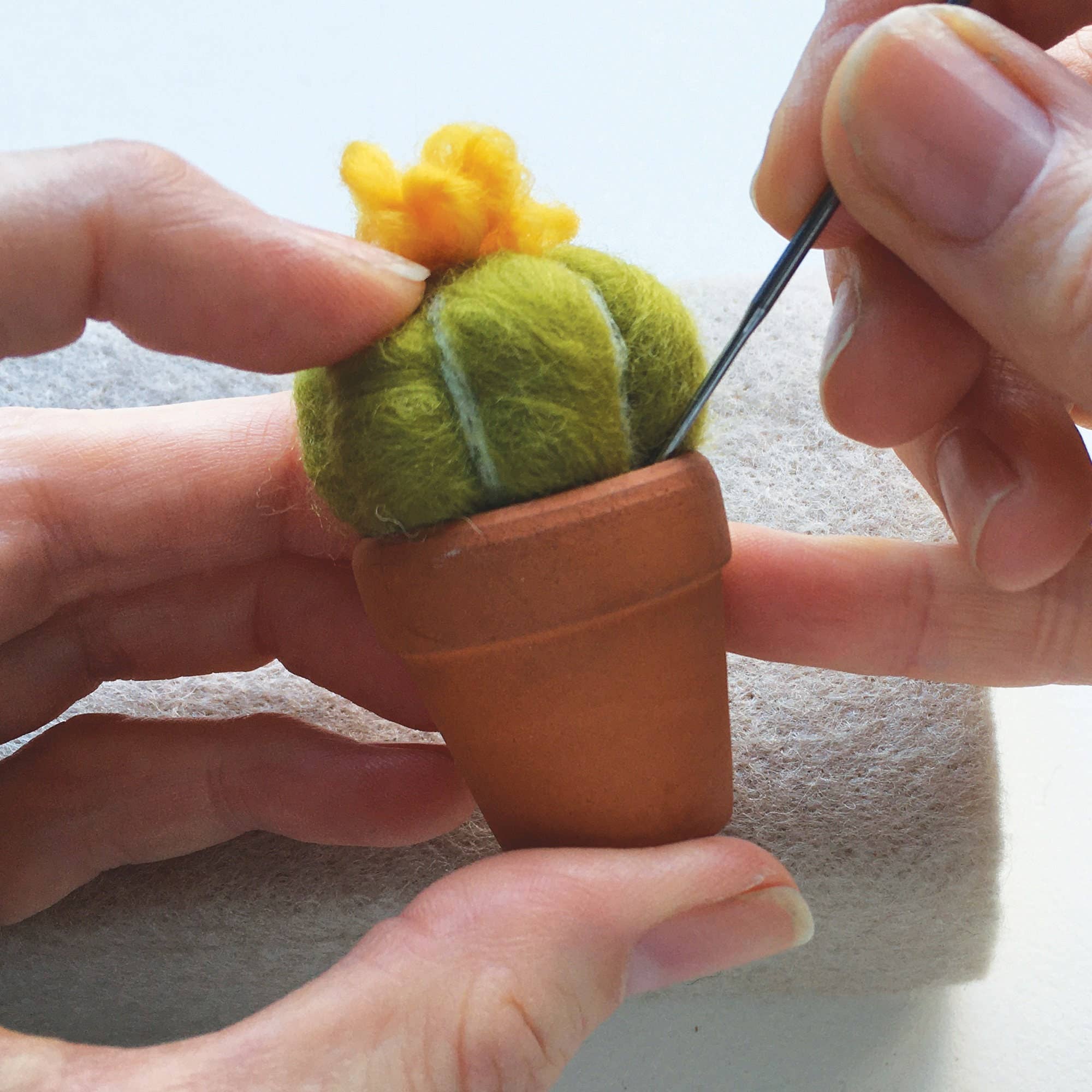 Needle felting kit - Cacti - wool craft project for beginner - Image 8