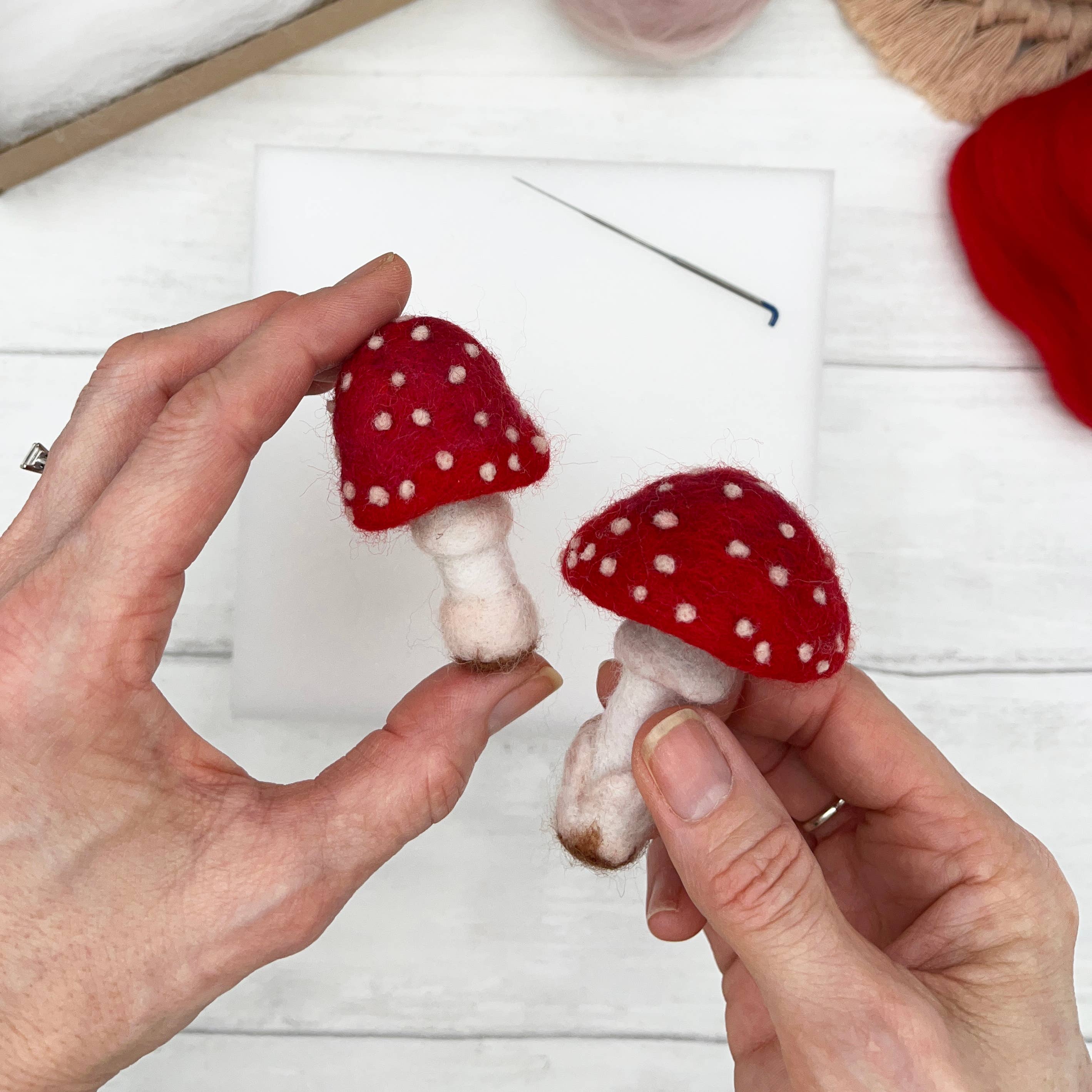 Needle Felting Kit, Toadstools - Image 4