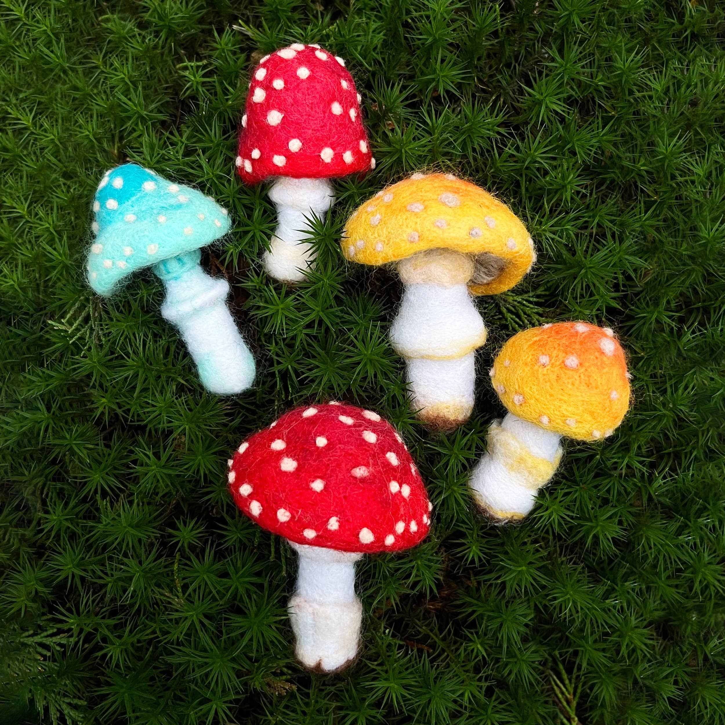 Needle Felting Kit, Toadstools - Image 5