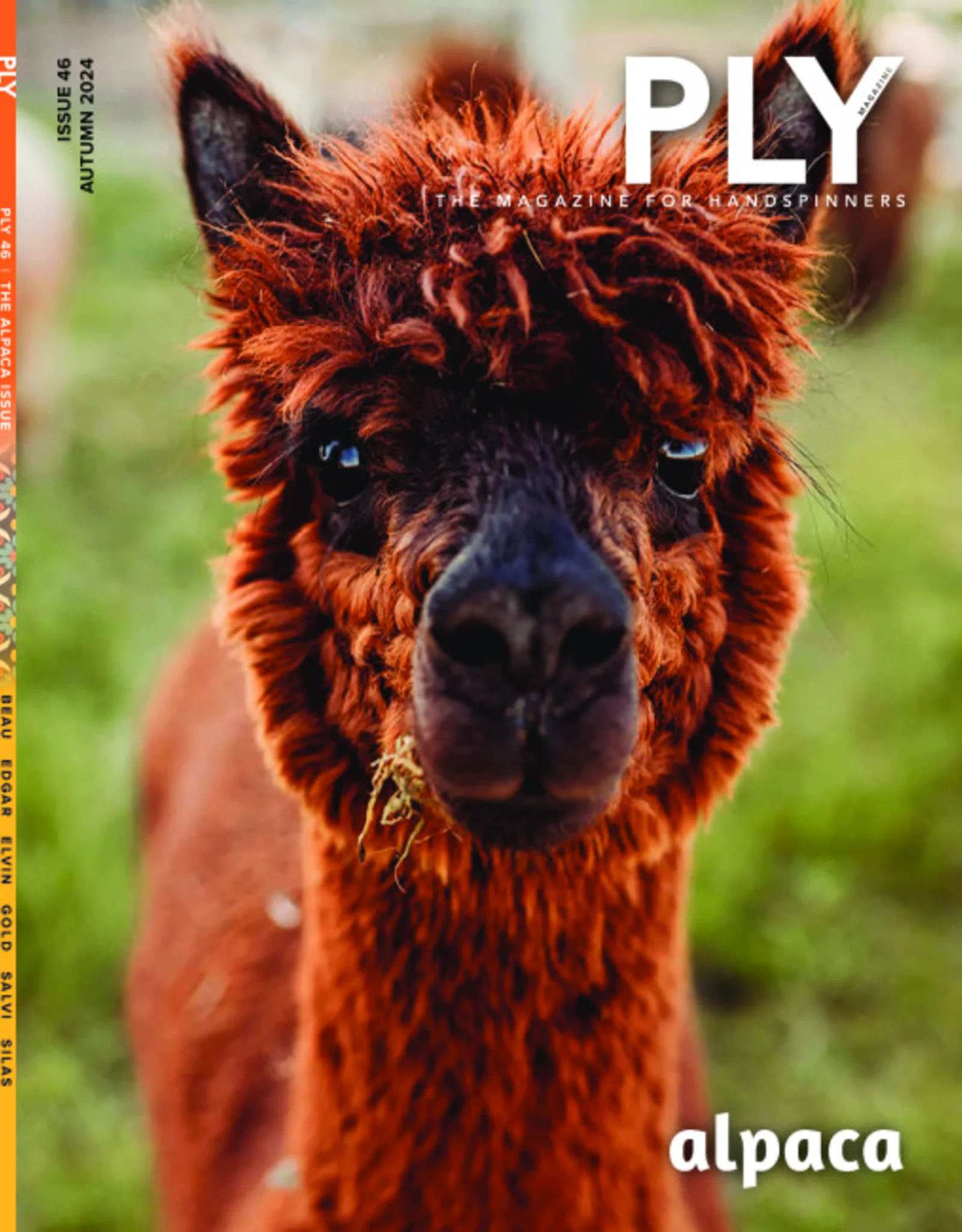 PLY Magazine - Image 6