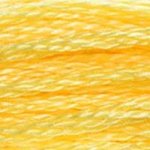 DMC Rayon/Satin Embroidery Floss - Image 25