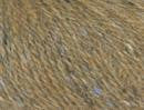 Felted Tweed DK - Image 17