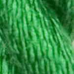 Vineyard Silk (Colors C-095 to C-169) - Image 51