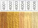 Waverly Wool Skein (Colors 2091-4017) - Image 13