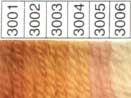 Waverly Wool HANK (Colors 2091-4017) - Image 3