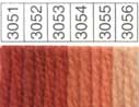 Waverly Wool HANK (Colors 2091-4017) - Image 8