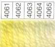 Waverly Wool HANK (Colors 4021-5067) - Image 5